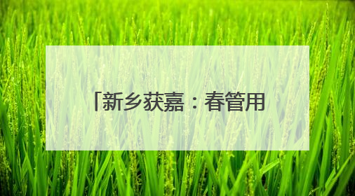 新乡获嘉：春管用上“读墒术” 麦田开启精准灌溉