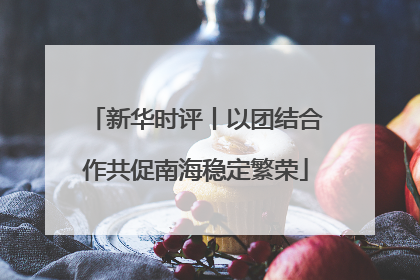 新华时评丨以团结合作共促南海稳定繁荣