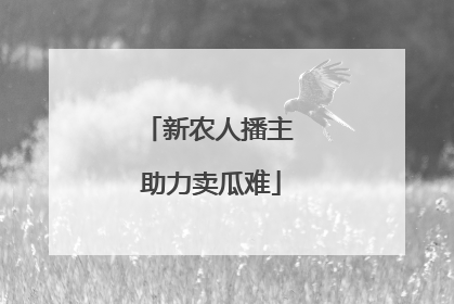 新农人播主 助力卖瓜难