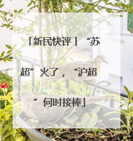 新民快评丨“苏超”火了，“沪超”何时接棒