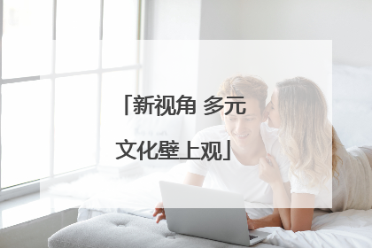 新视角 多元文化壁上观