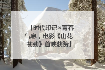 时代印记×青春气息，电影《山花苍劲》首映获赞