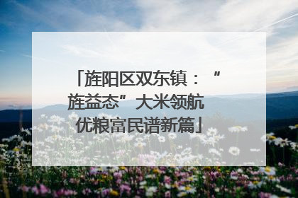 旌阳区双东镇：“旌益态”大米领航 优粮富民谱新篇