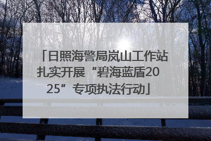 日照海警局岚山工作站扎实开展“碧海蓝盾2025”专项执法行动