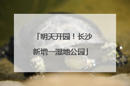 明天开园！长沙新增一湿地公园