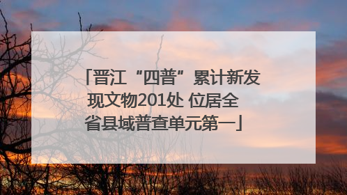 晋江“四普”累计新发现文物201处 位居全省县域普查单元第一