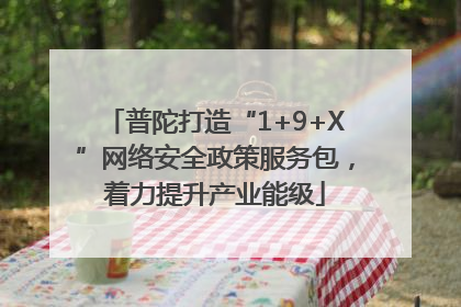 普陀打造“1+9+X”网络安全政策服务包，着力提升产业能级