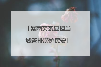 暴雨突袭显担当 城管排涝护民安