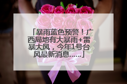 暴雨蓝色预警！广西局地有大暴雨+雷暴大风，今年1号台风最新消息……