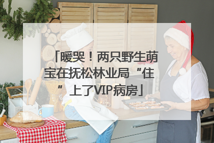 暖哭！两只野生萌宝在抚松林业局“住”上了VIP病房