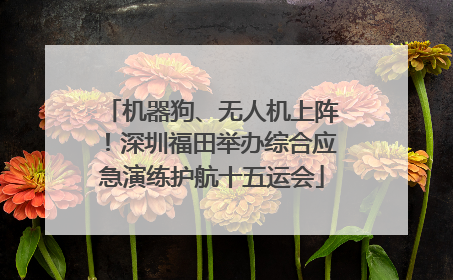 机器狗、无人机上阵！深圳福田举办综合应急演练护航十五运会