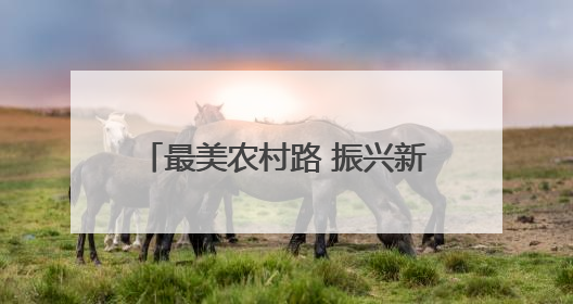 最美农村路 振兴新图景（新时代画卷）