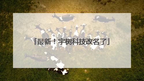 最新！宇树科技改名了