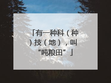有一种科（种）技（地），叫“吨粮田”