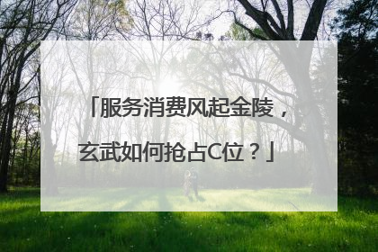 服务消费风起金陵，玄武如何抢占C位？