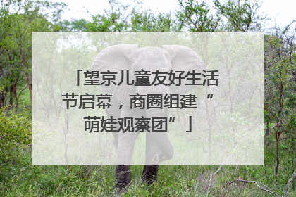望京儿童友好生活节启幕，商圈组建“萌娃观察团”