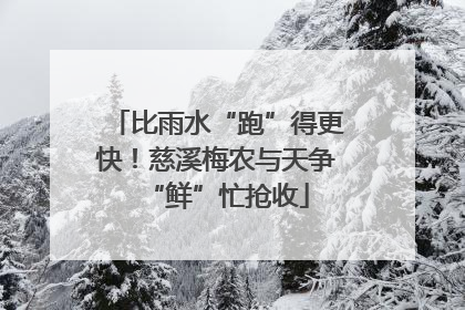 比雨水“跑”得更快！慈溪梅农与天争“鲜”忙抢收