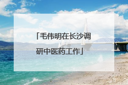 毛伟明在长沙调研中医药工作