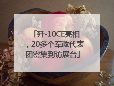 歼-10CE亮相，20多个军政代表团密集到访展台