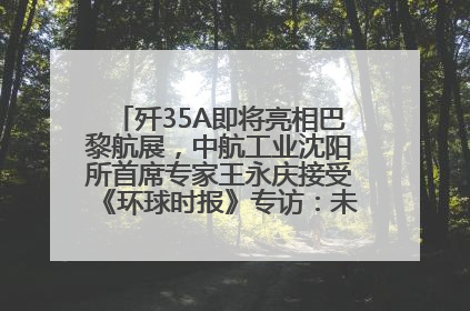 歼35A即将亮相巴黎航展，中航工业沈阳所首席专家王永庆接受《环球时报》专访：未来数量可以有很多