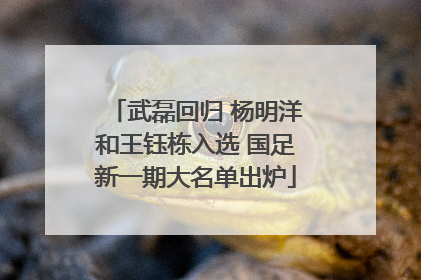 武磊回归 杨明洋和王钰栋入选 国足新一期大名单出炉
