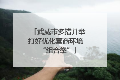 武威市多措并举打好优化营商环境“组合拳”