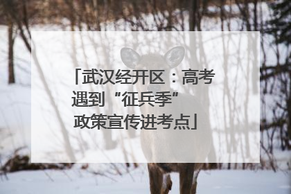 武汉经开区：高考遇到“征兵季”  政策宣传进考点
