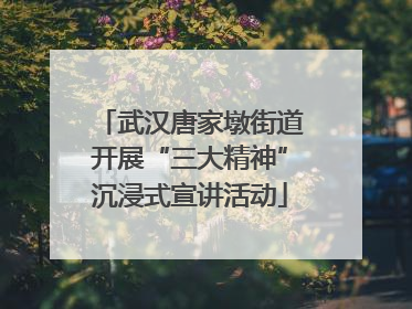 武汉唐家墩街道开展“三大精神”沉浸式宣讲活动