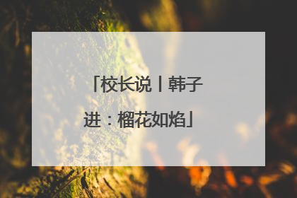 校长说丨韩子进：榴花如焰