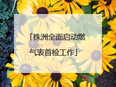 株洲全面启动燃气表首检工作