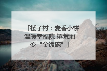 楼子村：麦香小饼温暖幸福院 撂荒地变“金饭碗”