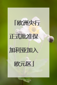 欧洲央行正式批准保加利亚加入欧元区