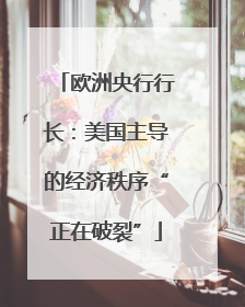 欧洲央行行长：美国主导的经济秩序“正在破裂”
