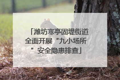 潍坊寒亭固堤街道全面开展“九小场所”安全隐患排查