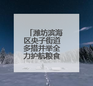 潍坊滨海区央子街道多措并举全力护航粮食丰产丰收