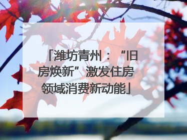 潍坊青州：“旧房焕新”激发住房领域消费新动能