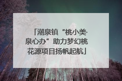 潮泉镇“桃小美·泉心办”助力梦幻桃花源项目扬帆起航