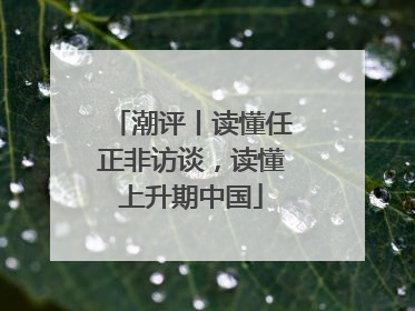 潮评丨读懂任正非访谈，读懂上升期中国
