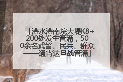 澧水澧南垸大堤K8+200处发生管涌，500余名武警、民兵、群众——通宵达旦战管涌