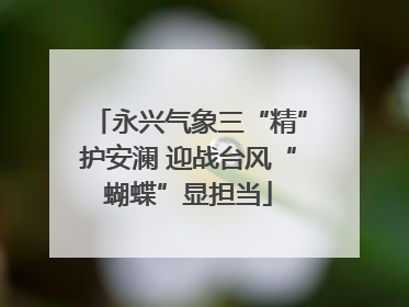 永兴气象三“精”护安澜 迎战台风“蝴蝶”显担当