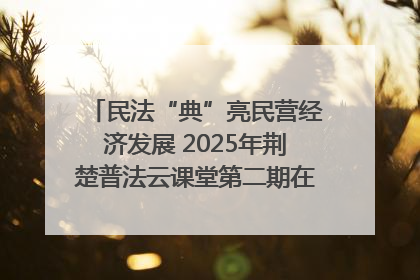 民法“典”亮民营经济发展 2025年荆楚普法云课堂第二期在武汉客厅开讲