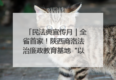 民法典宣传月｜全省首家！陕西商洛法治廉政教育基地“以案说纪”润人心