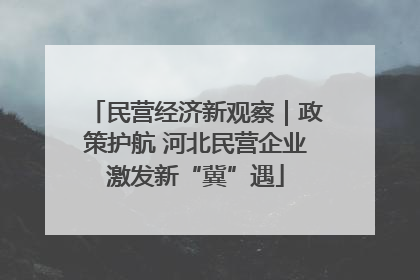 民营经济新观察｜政策护航 河北民营企业激发新“冀”遇