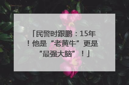 民警时跟鹏：15年！他是“老黄牛”更是“最强大脑”！