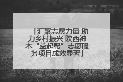 汇聚志愿力量 助力乡村振兴 陕西神木“益起帮”志愿服务项目成效显著