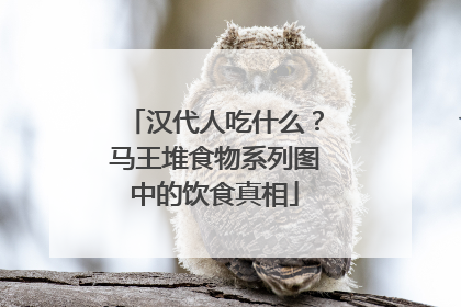汉代人吃什么？马王堆食物系列图中的饮食真相
