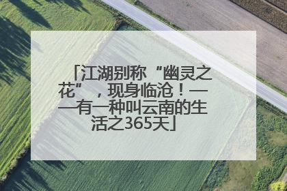 江湖别称“幽灵之花”，现身临沧！——有一种叫云南的生活之365天