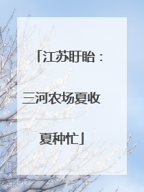 江苏盱眙：三河农场夏收夏种忙