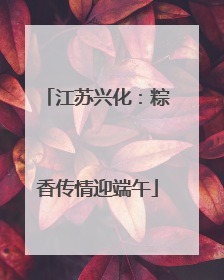 江苏兴化：粽香传情迎端午