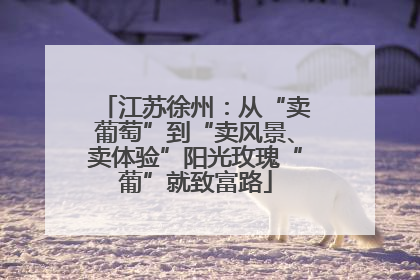 江苏徐州：从“卖葡萄”到“卖风景、卖体验”阳光玫瑰“葡”就致富路